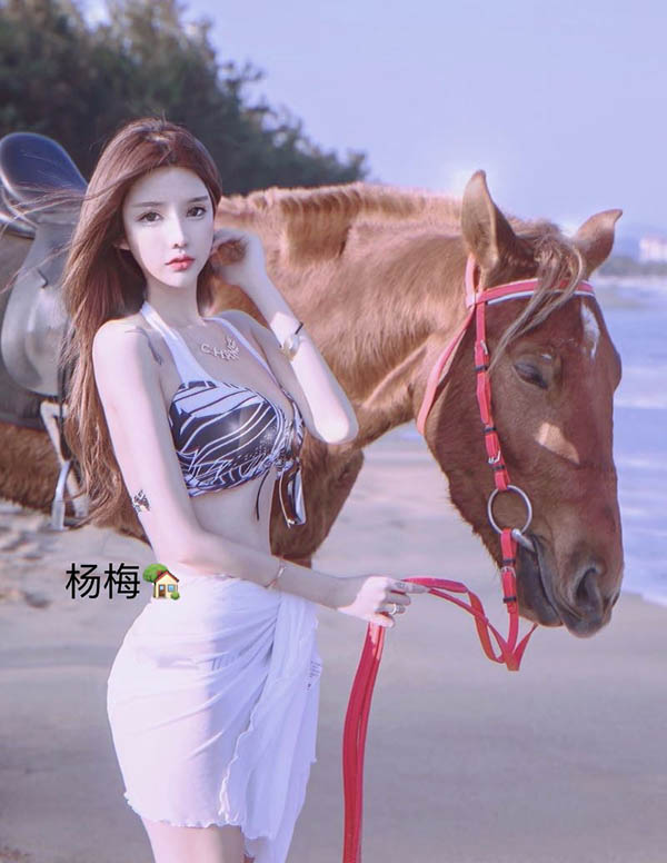 芝加哥大学生伴游