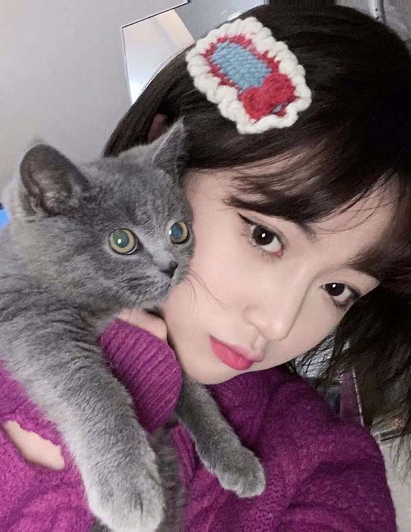 旧金山围经纪人微信